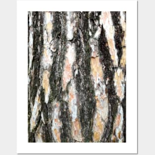 Wood, pattern, tree, nature Posters and Art